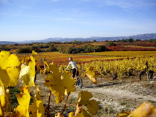 France-Provence-Wine Roads of Provence